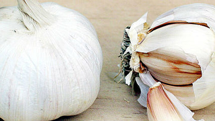 Heil- und Gewürzmittel – Knoblauch