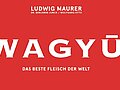 Cover des besprochenen Bandes (Ausschnitt) | © Matthaes-Verlag