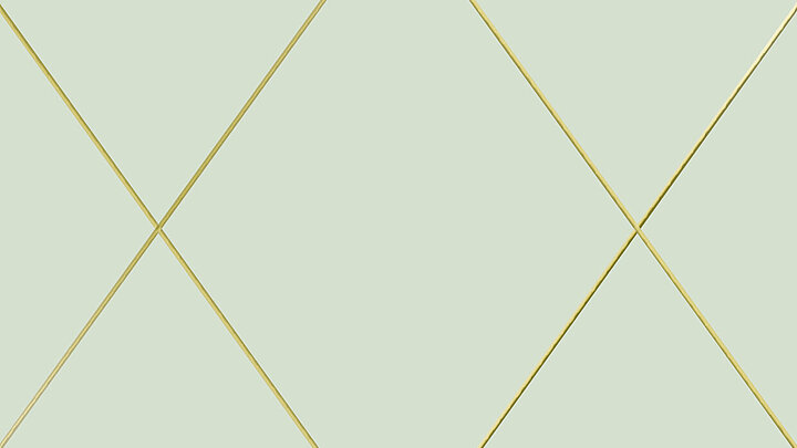 Cover des besprochenen Buches |© Matthaes Verlag