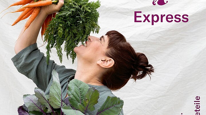 Cover des besprochenen Werks | © AT-Verlag