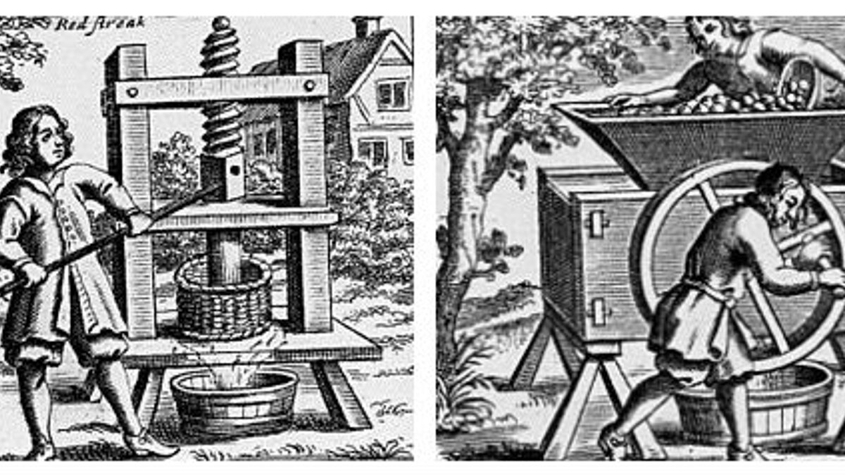 Ausschnitte aus dem Titelblatt „Vinetum Britannicum“ 1678