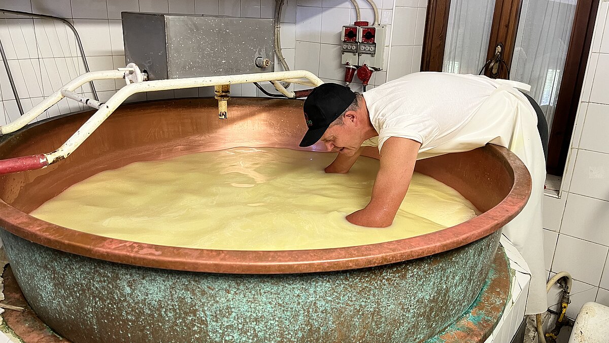 Traditionell Handarbeit: Asiago-Käse in der Zubereitung | © Tartuffel