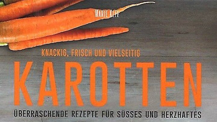 Cover des besprochenen Buches (Ausschnitt) |© LV-Verlag